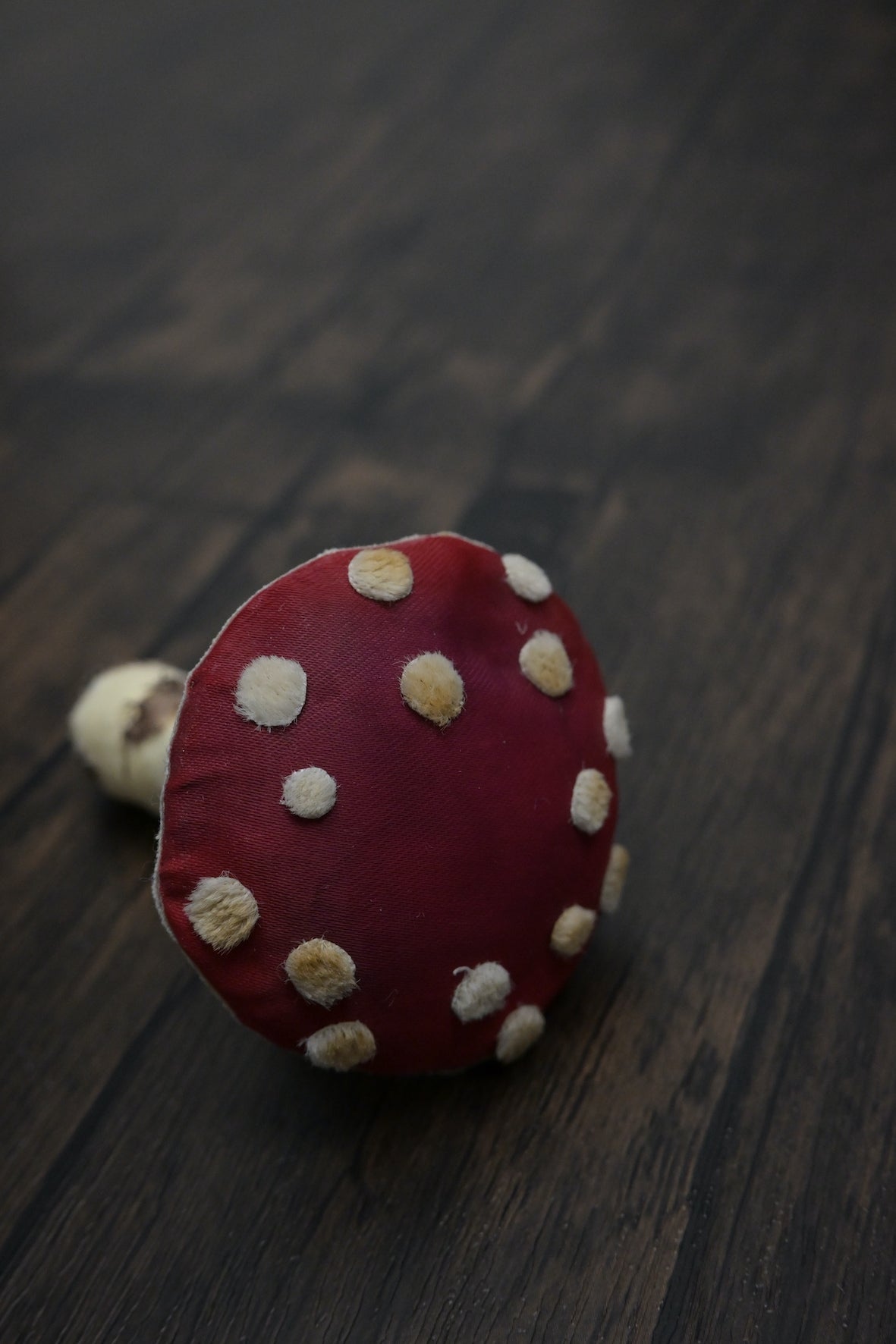 毒蠅傘｜紅色大毒菇｜心口針