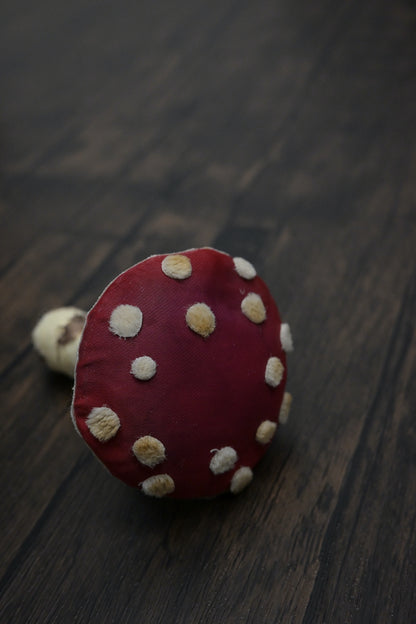 毒蠅傘｜紅色大毒菇｜心口針