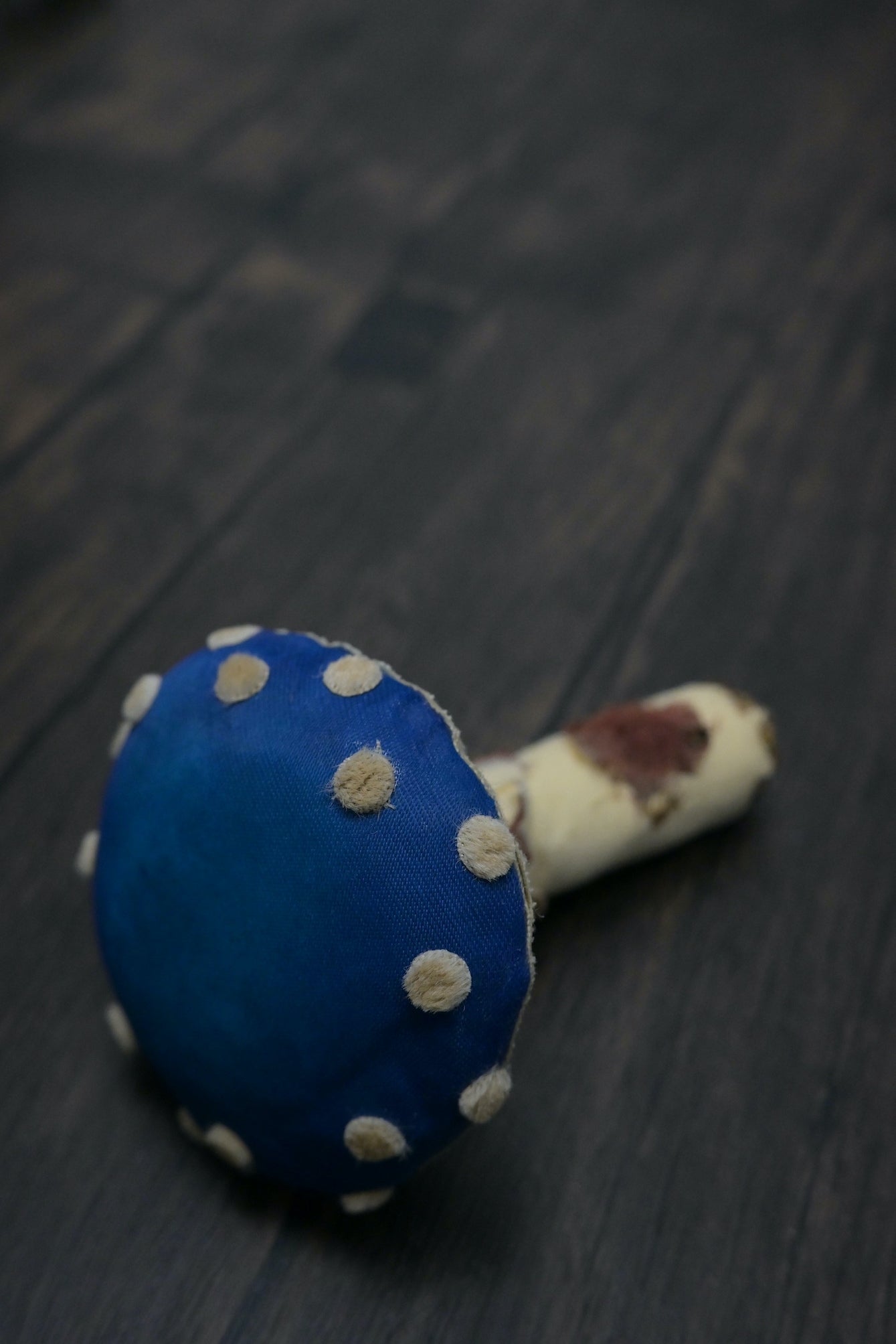 毒蠅傘｜藍色大毒菇｜心口針