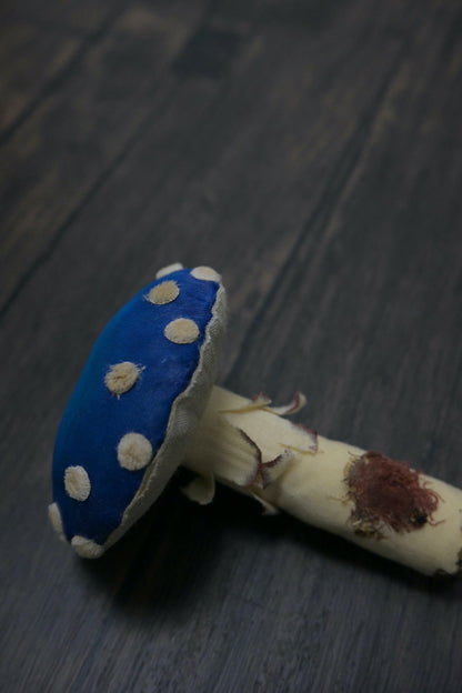 毒蠅傘｜藍色大毒菇｜心口針