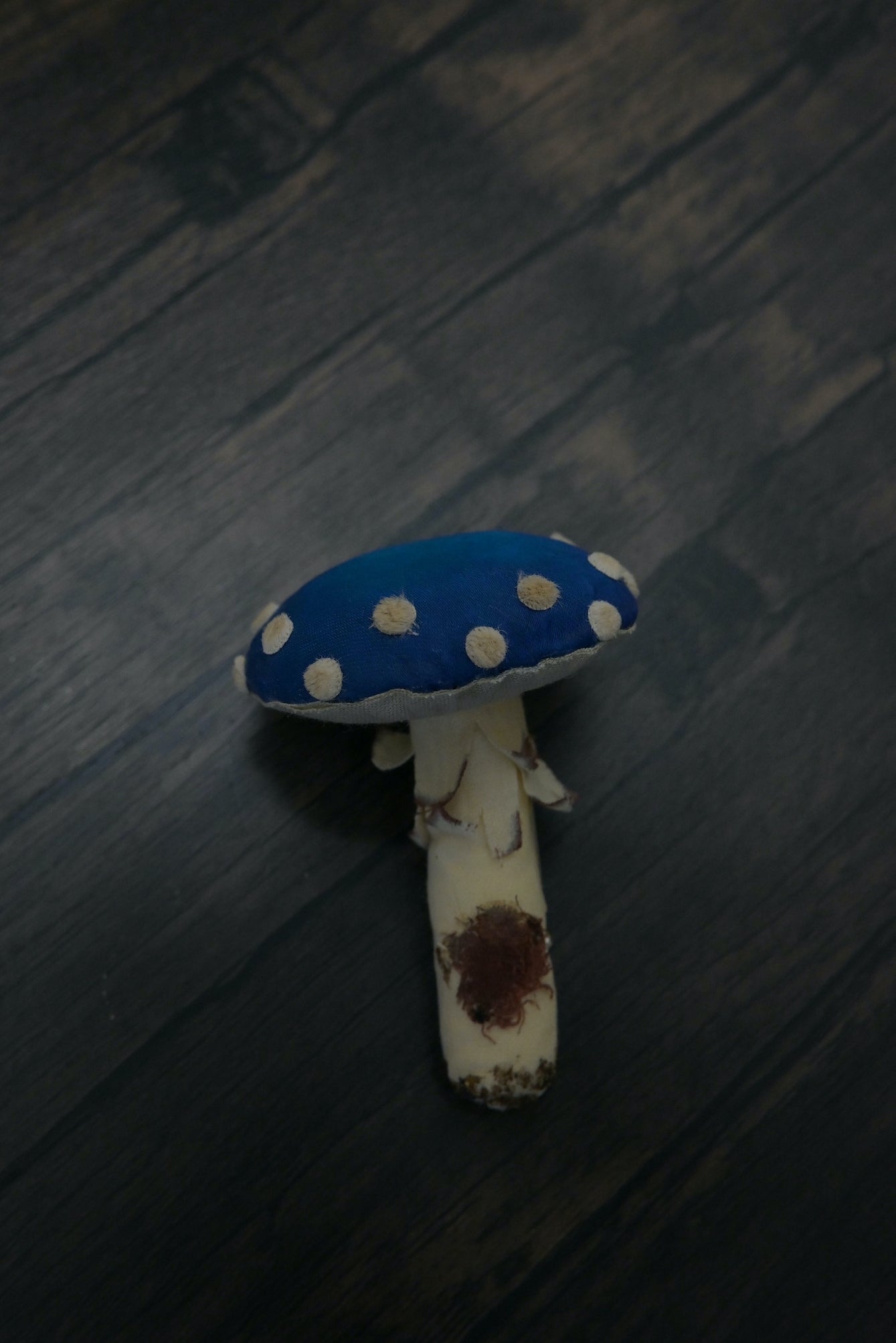 毒蠅傘｜藍色大毒菇｜心口針