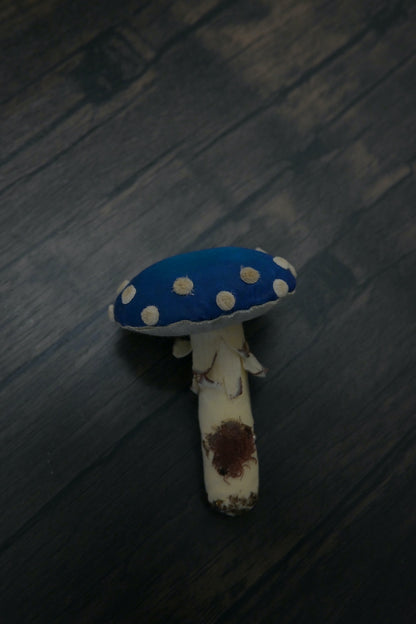 毒蠅傘｜藍色大毒菇｜心口針