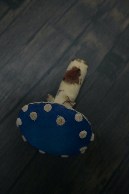 毒蠅傘｜藍色大毒菇｜心口針