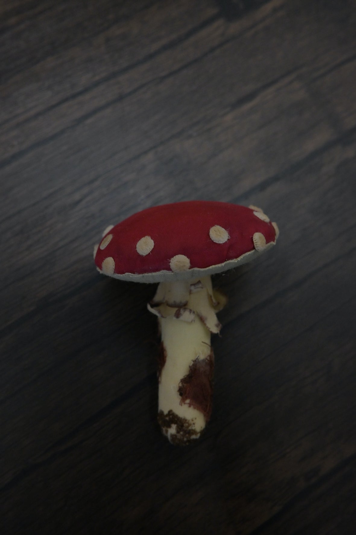 毒蠅傘｜紅色大毒菇｜心口針