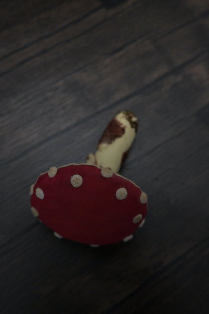 毒蠅傘｜紅色大毒菇｜心口針