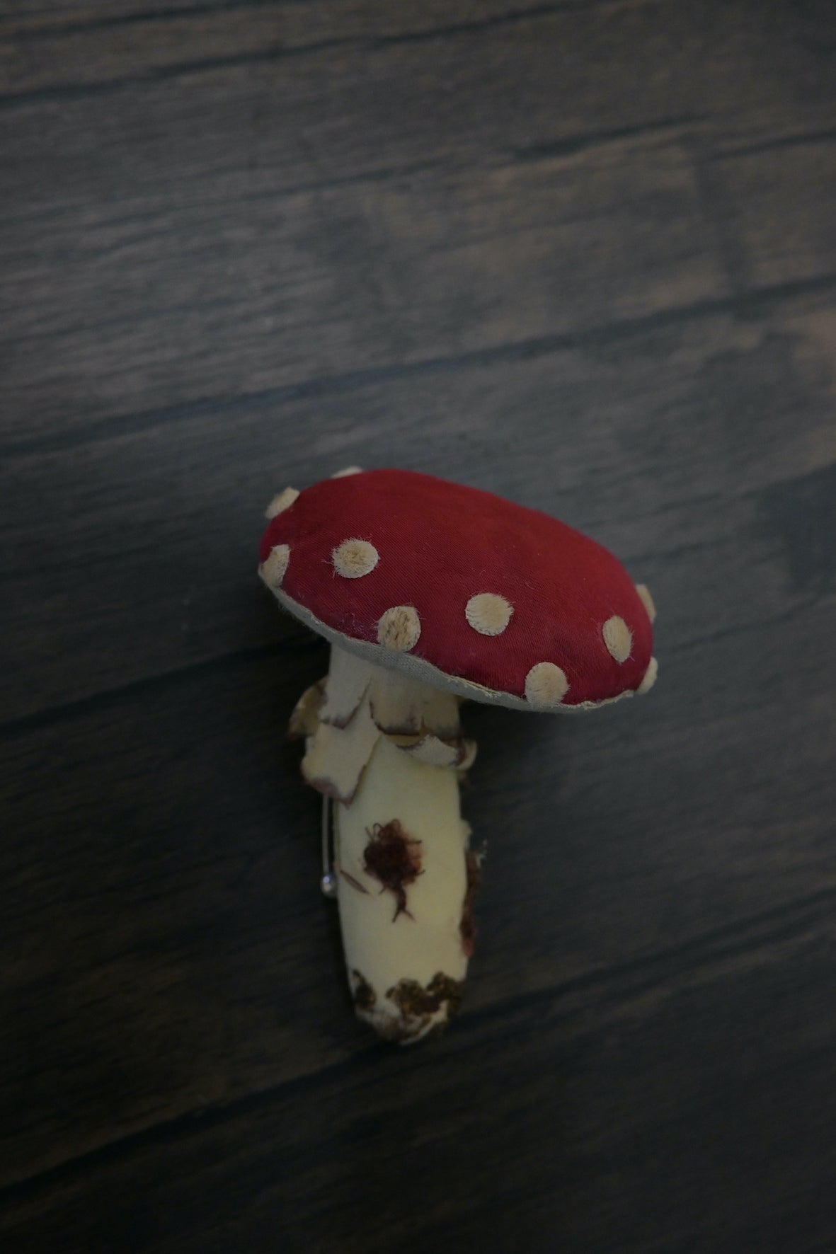 毒蠅傘｜紅色大毒菇｜心口針