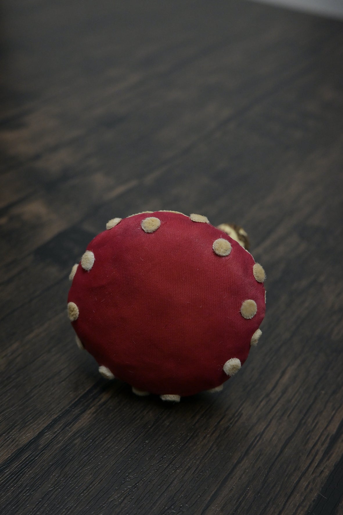 毒蠅傘｜紅色大毒菇｜心口針