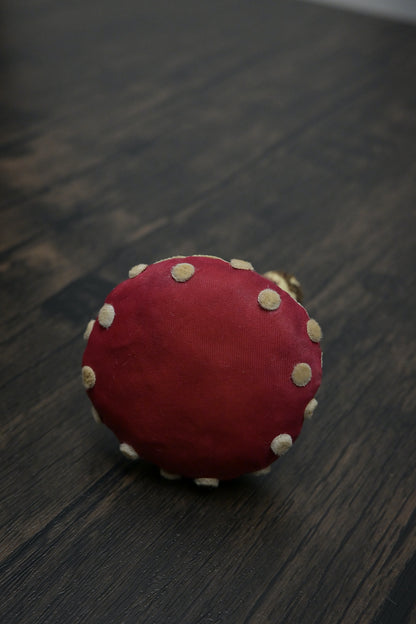 毒蠅傘｜紅色大毒菇｜心口針