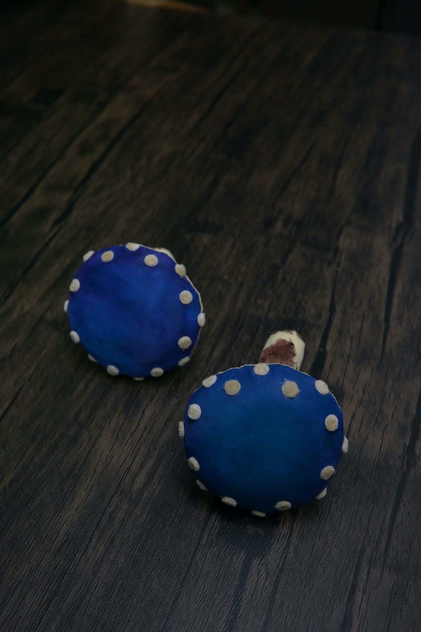 毒蠅傘｜藍色大毒菇｜心口針