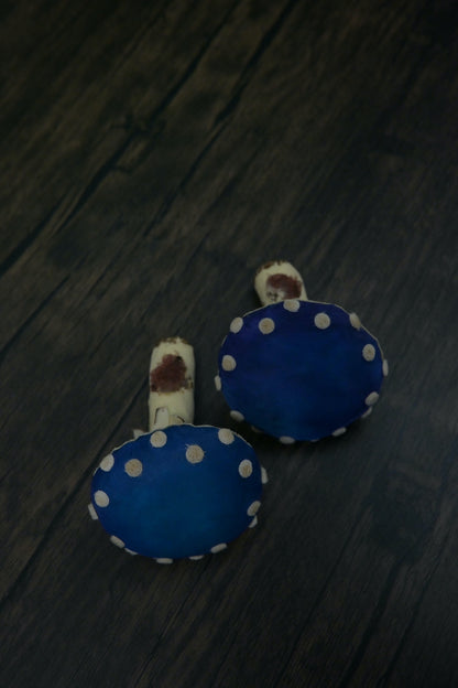 毒蠅傘｜藍色大毒菇｜心口針