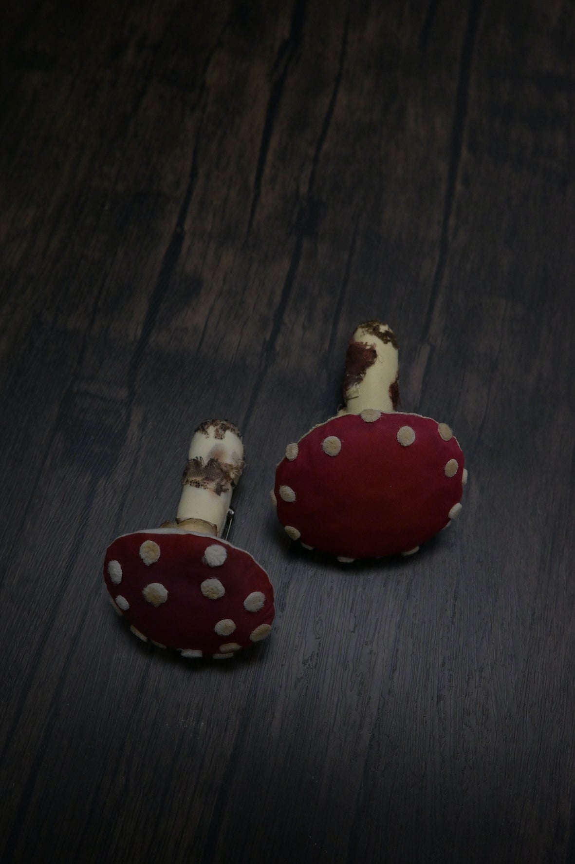 毒蠅傘｜紅色大毒菇｜心口針