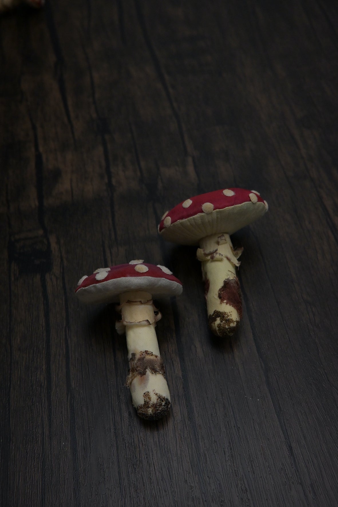 毒蠅傘｜紅色大毒菇｜心口針