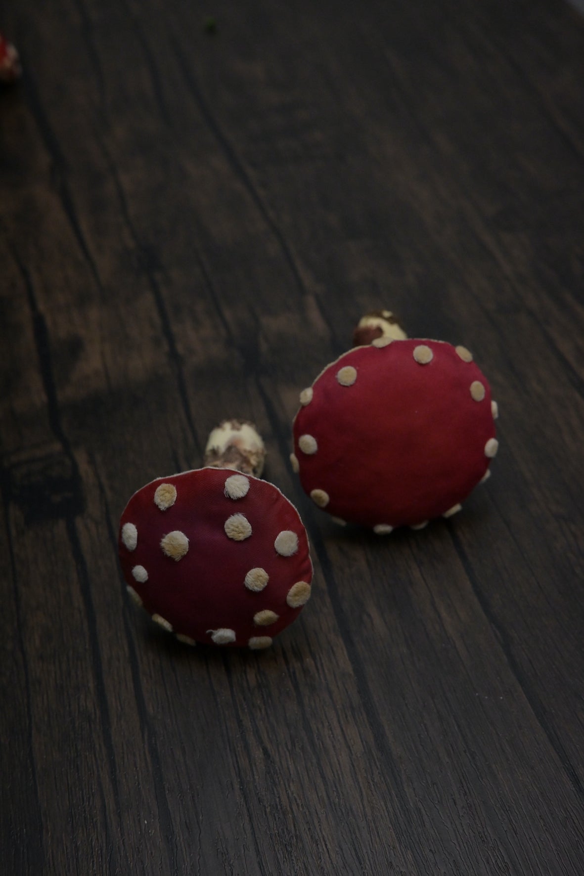 毒蠅傘｜紅色大毒菇｜心口針