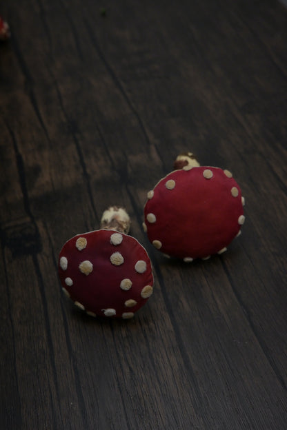 毒蠅傘｜紅色大毒菇｜心口針