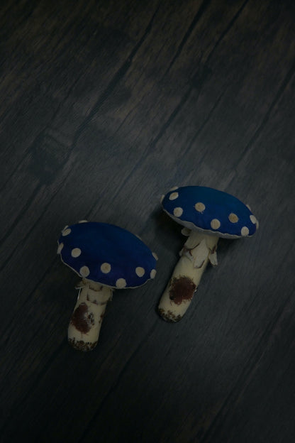 毒蠅傘｜藍色大毒菇｜心口針