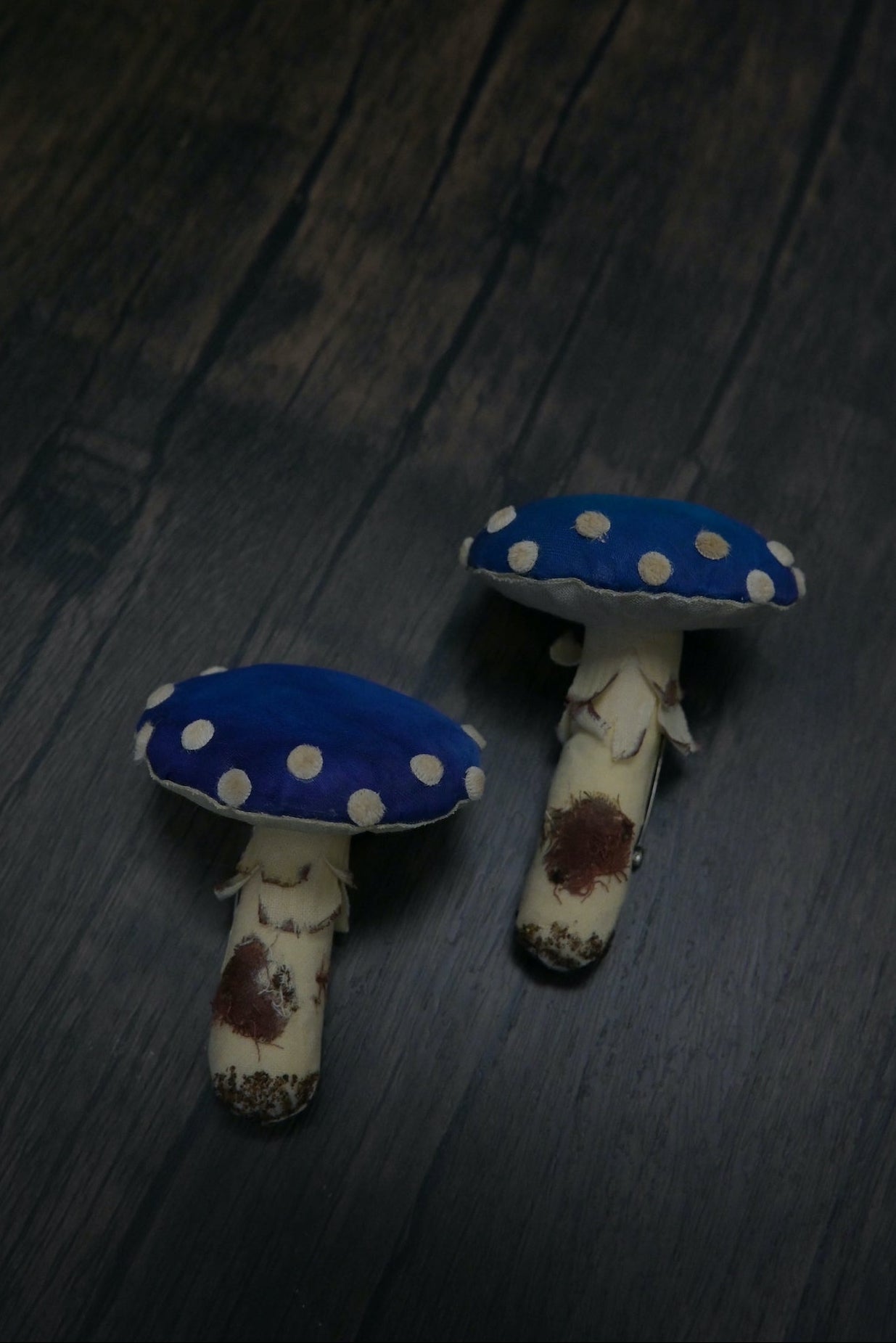 毒蠅傘｜藍色大毒菇｜心口針