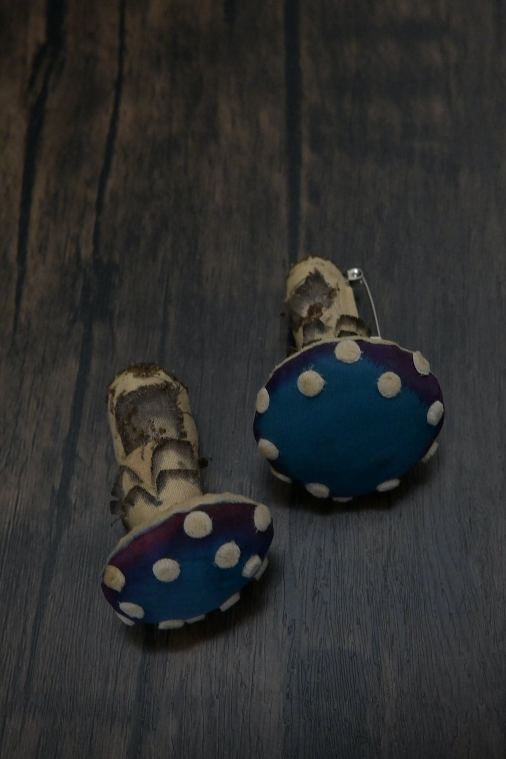 毒蠅傘｜藍色小毒菇｜心口針