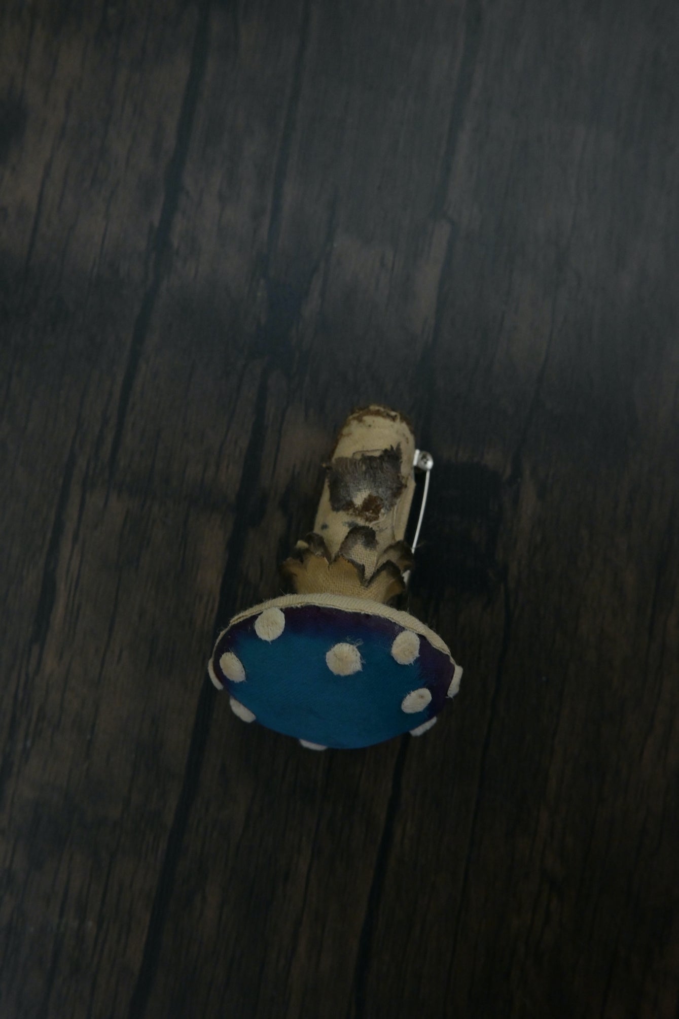 毒蠅傘｜藍色小毒菇｜心口針