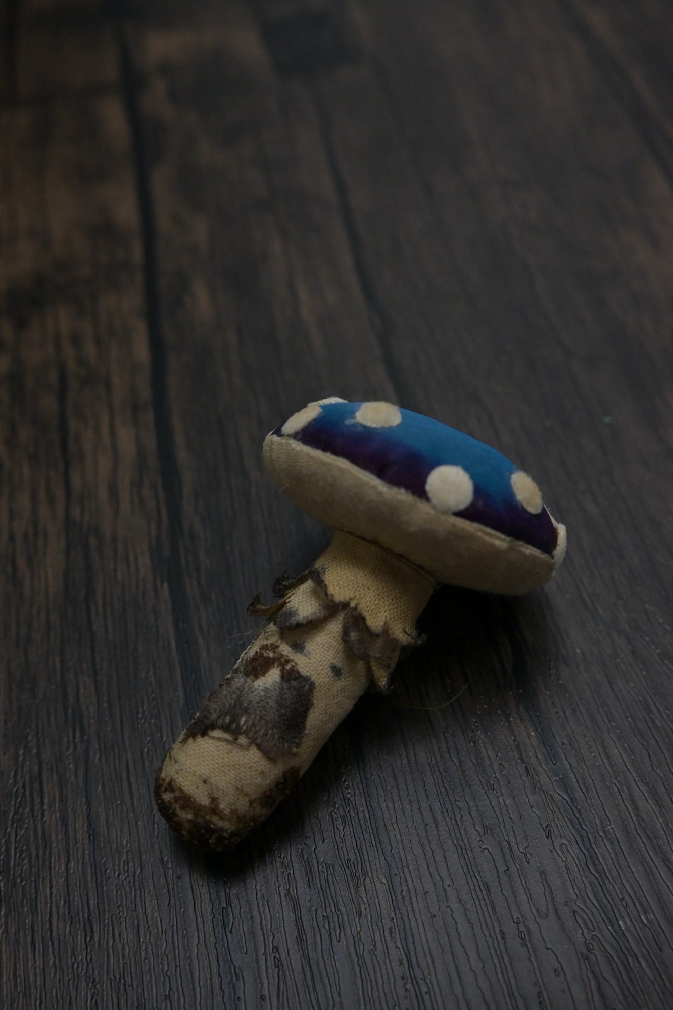 毒蠅傘｜藍色小毒菇｜心口針