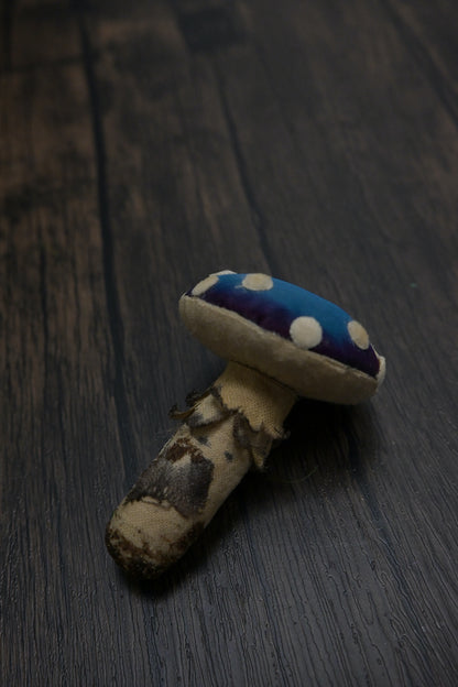 毒蠅傘｜藍色小毒菇｜心口針