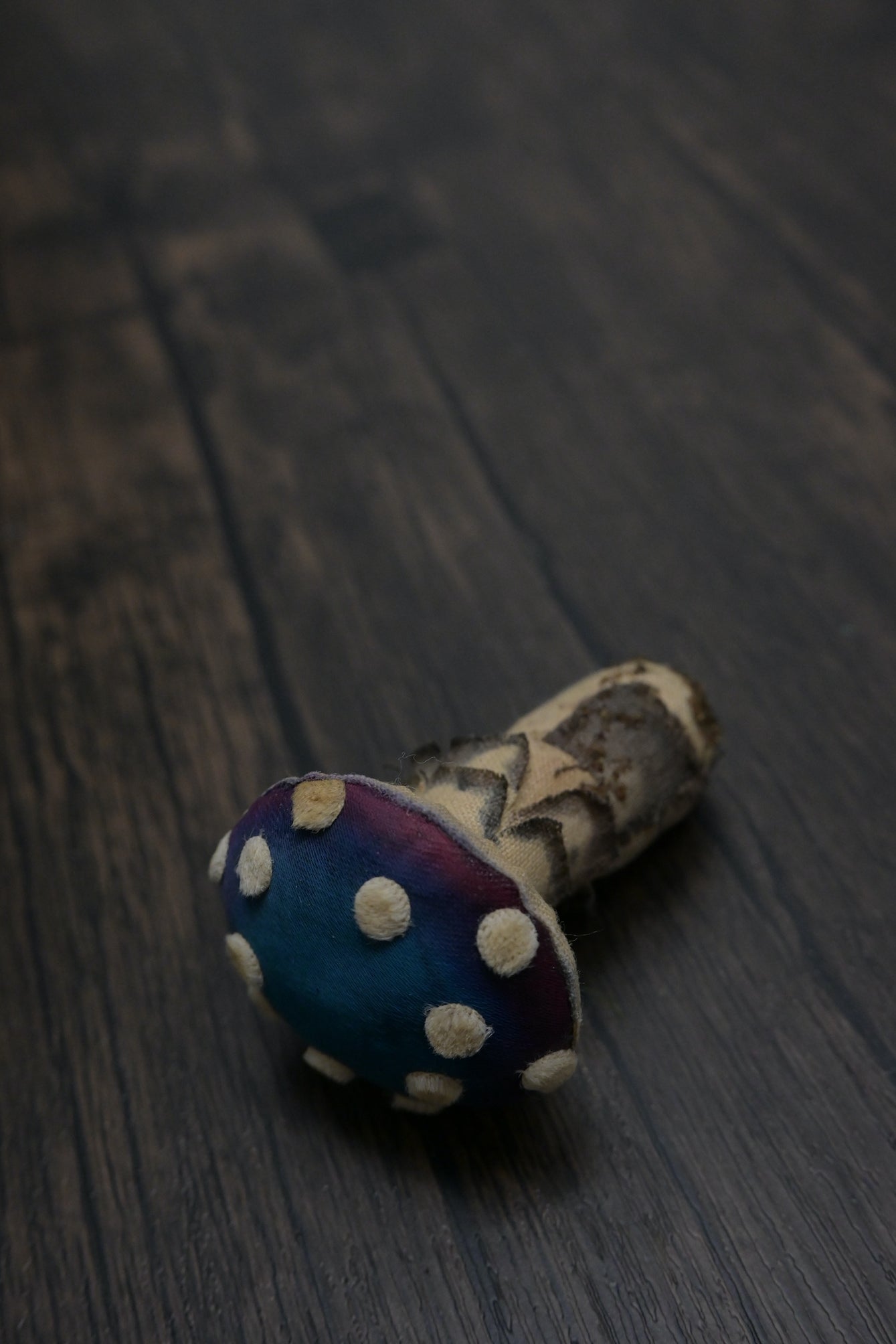 毒蠅傘｜藍色小毒菇｜心口針