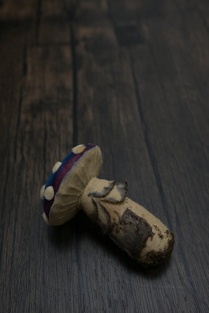 毒蠅傘｜藍色小毒菇｜心口針