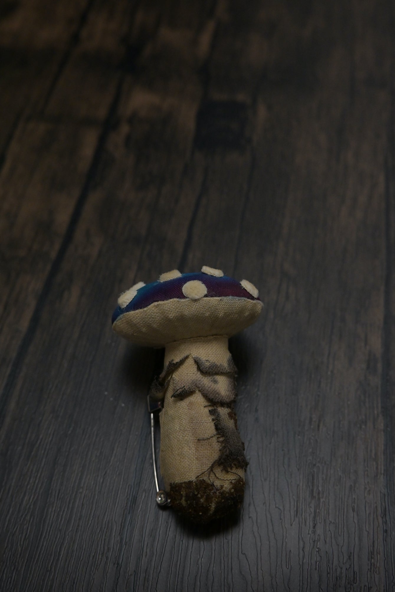 毒蠅傘｜藍色小毒菇｜心口針