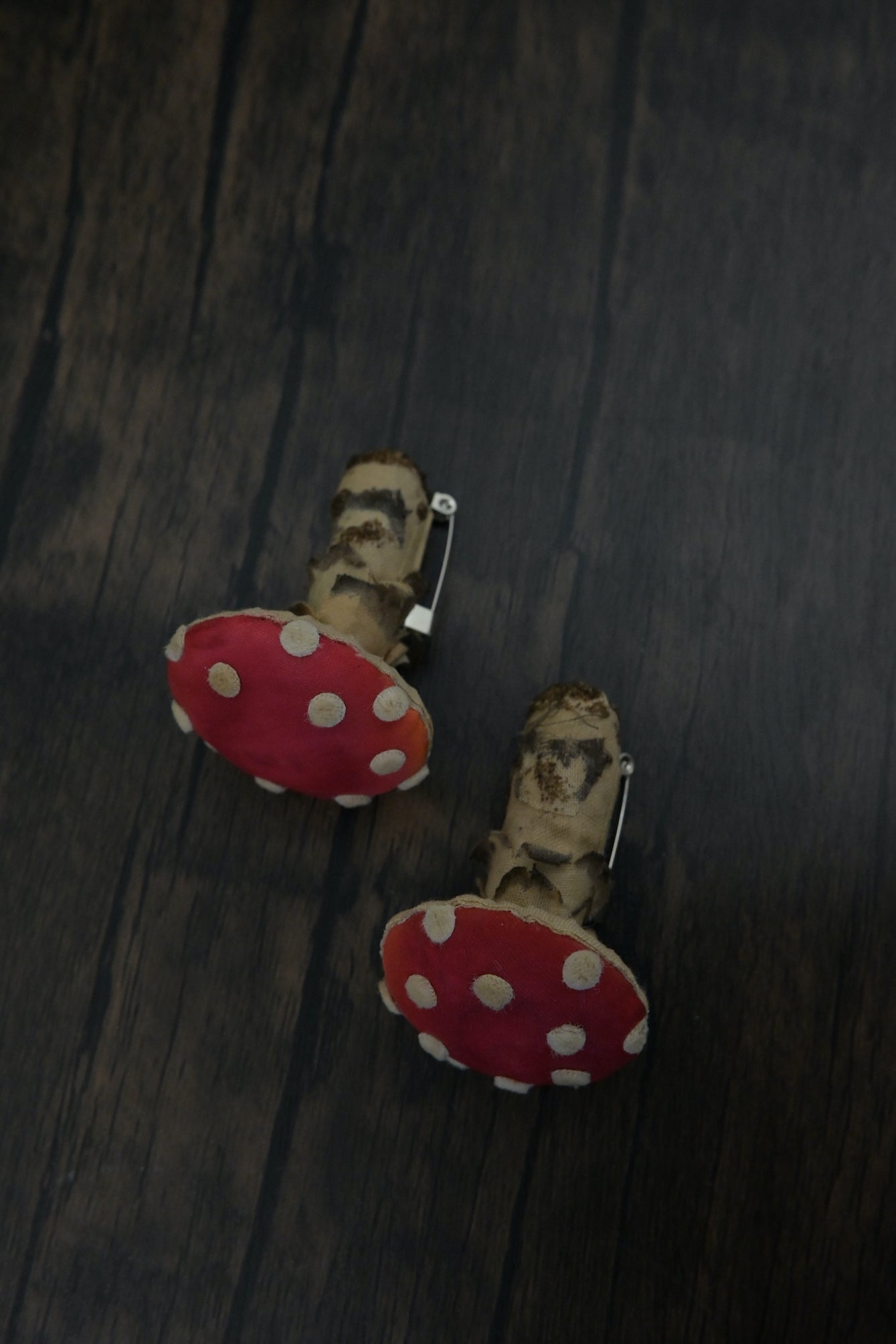 毒蠅傘｜紅色小毒菇｜心口針