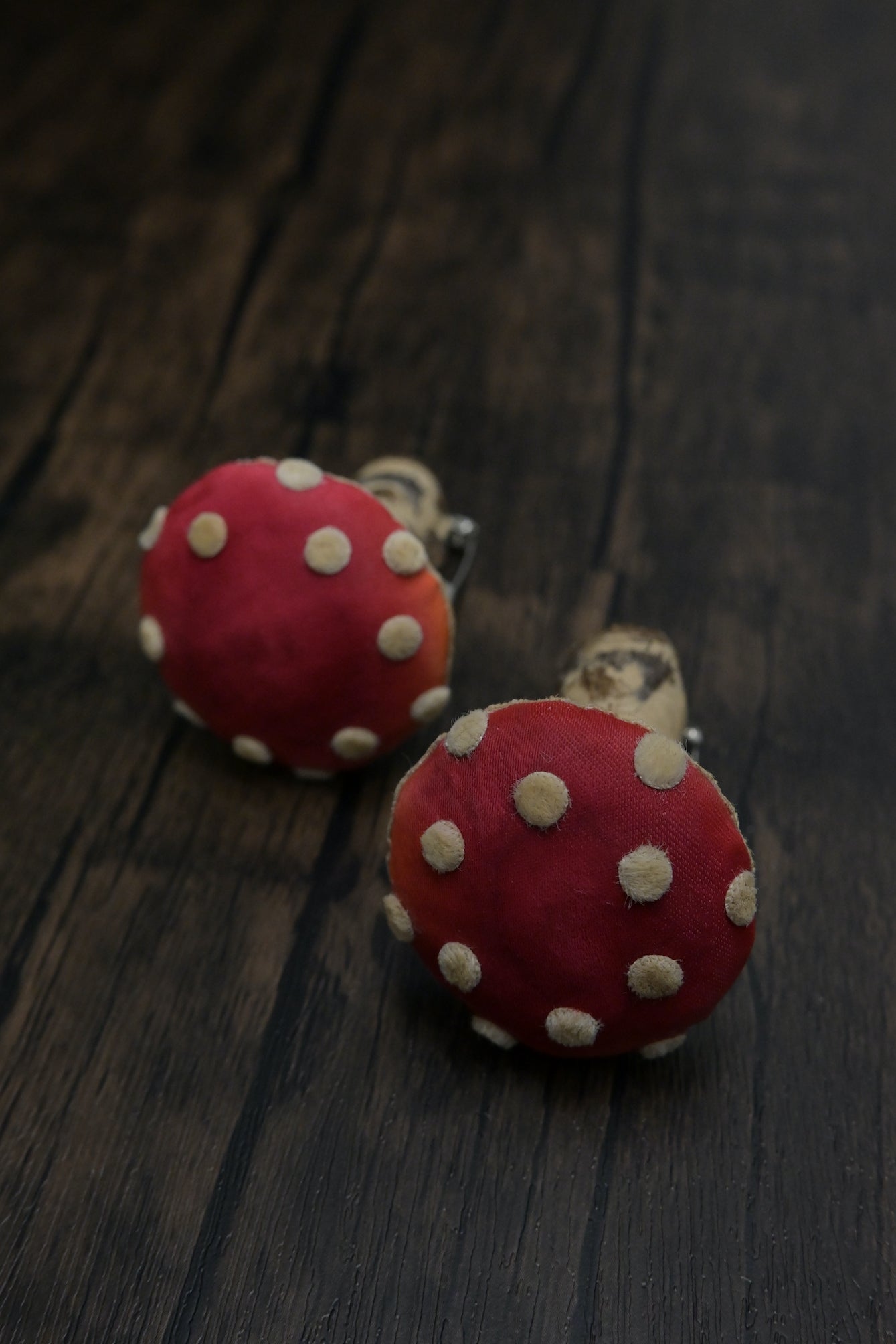 毒蠅傘｜紅色小毒菇｜心口針