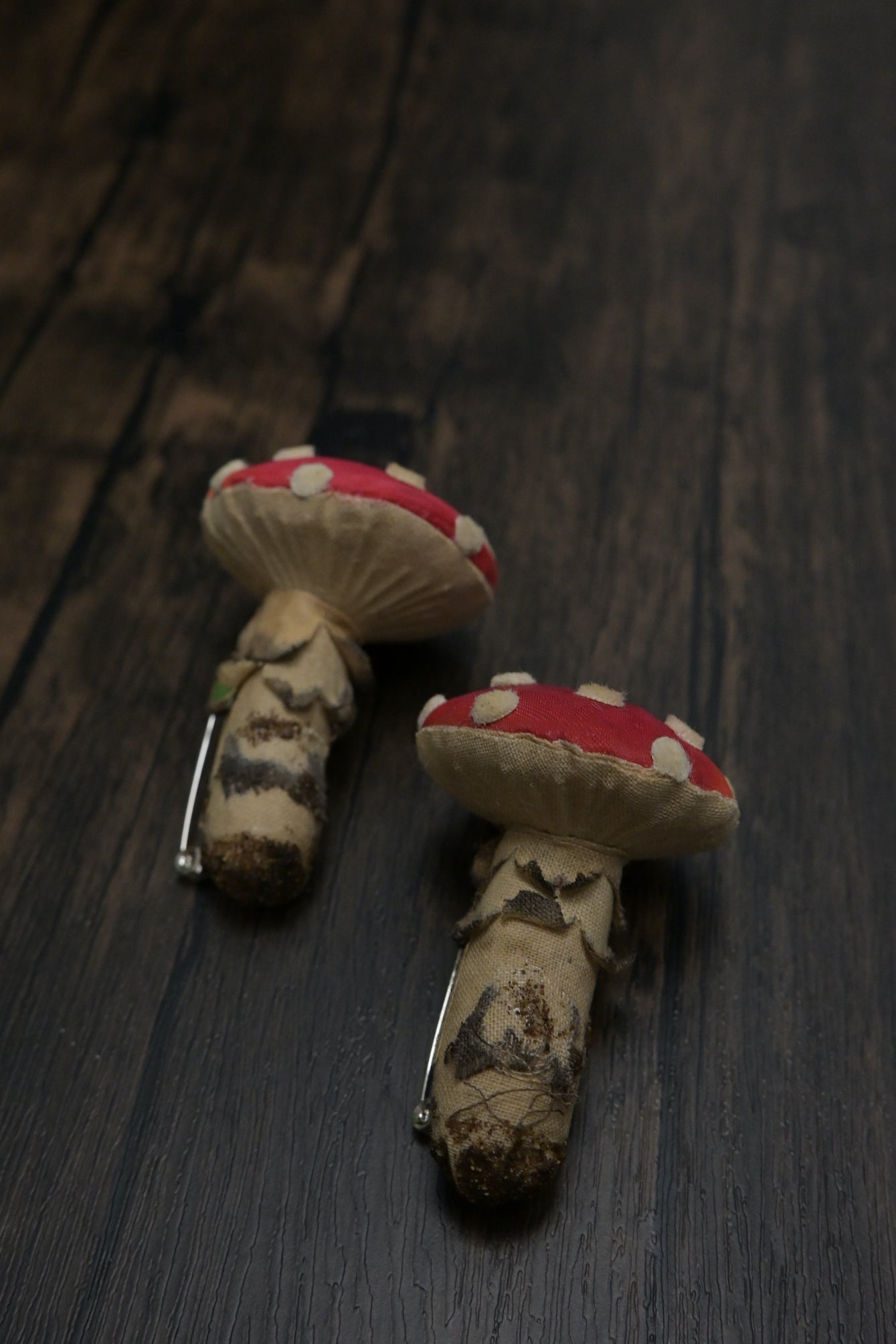 毒蠅傘｜紅色小毒菇｜心口針