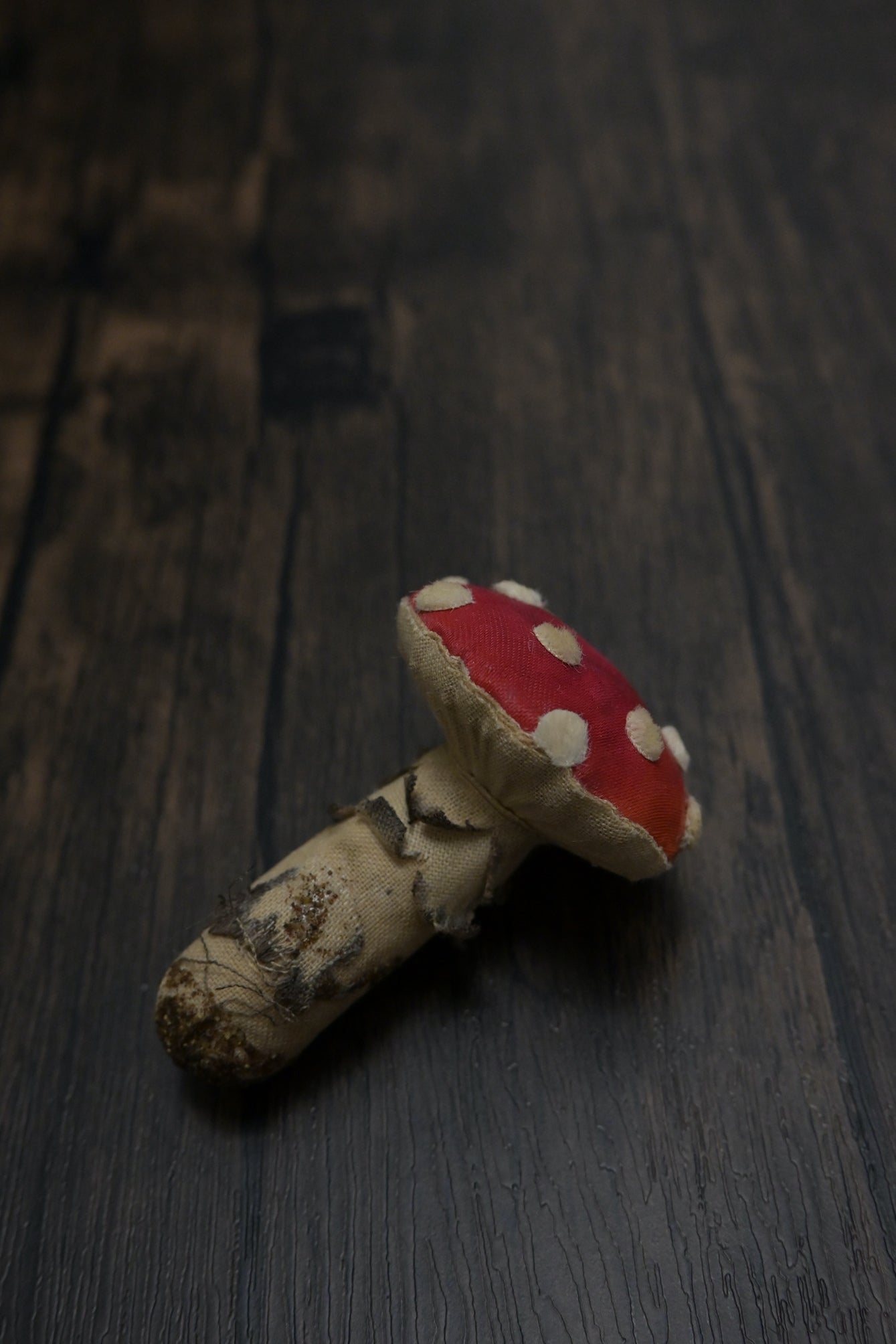 毒蠅傘｜紅色小毒菇｜心口針