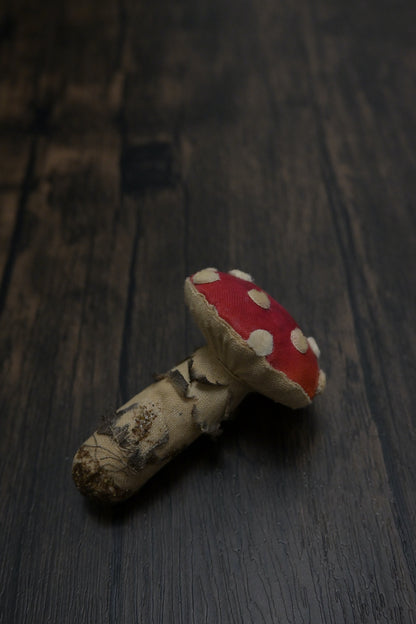 毒蠅傘｜紅色小毒菇｜心口針