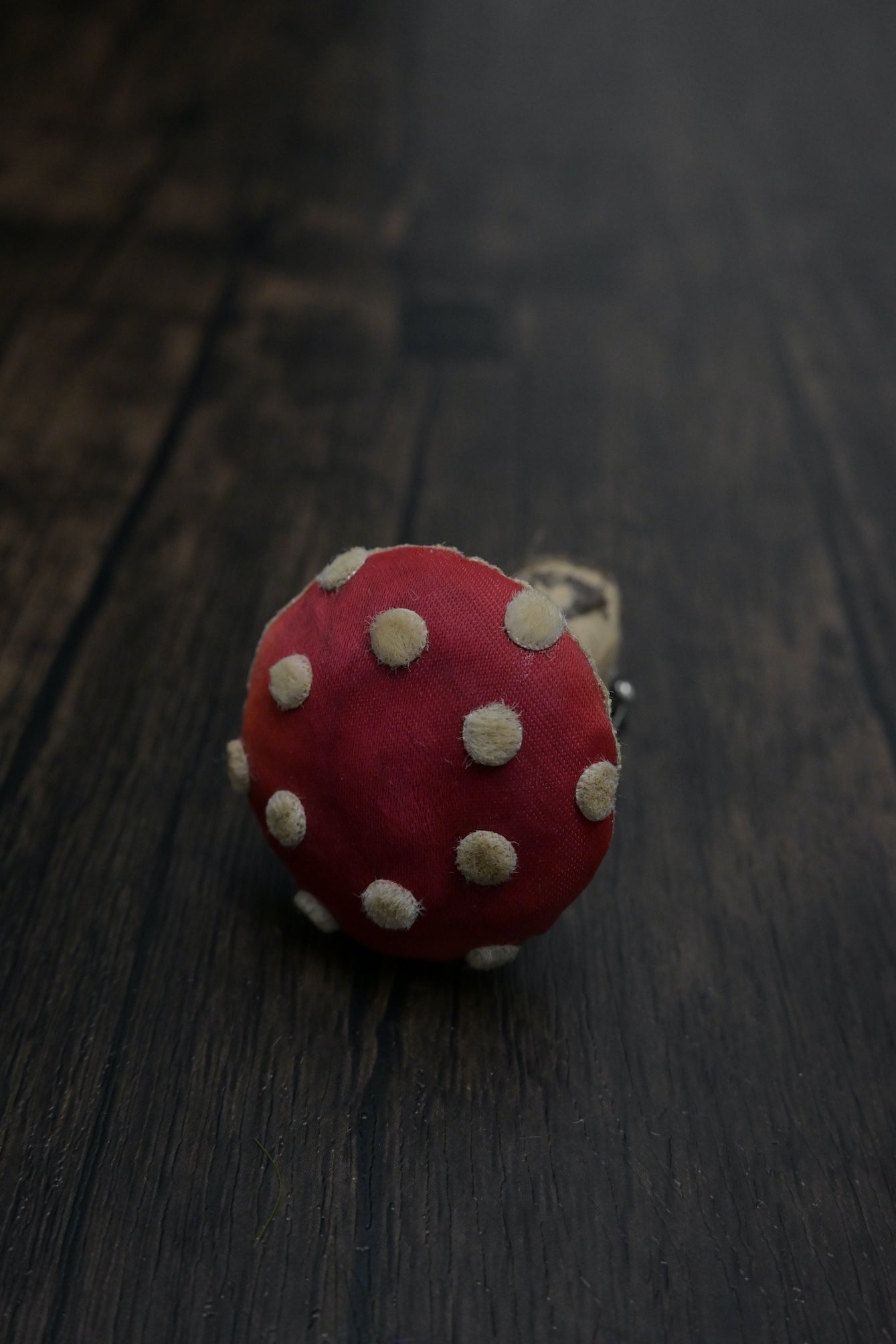 毒蠅傘｜紅色小毒菇｜心口針