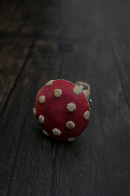 毒蠅傘｜紅色小毒菇｜心口針