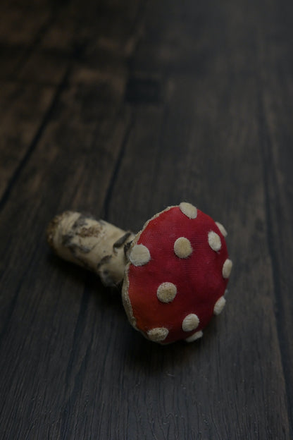 毒蠅傘｜紅色小毒菇｜心口針