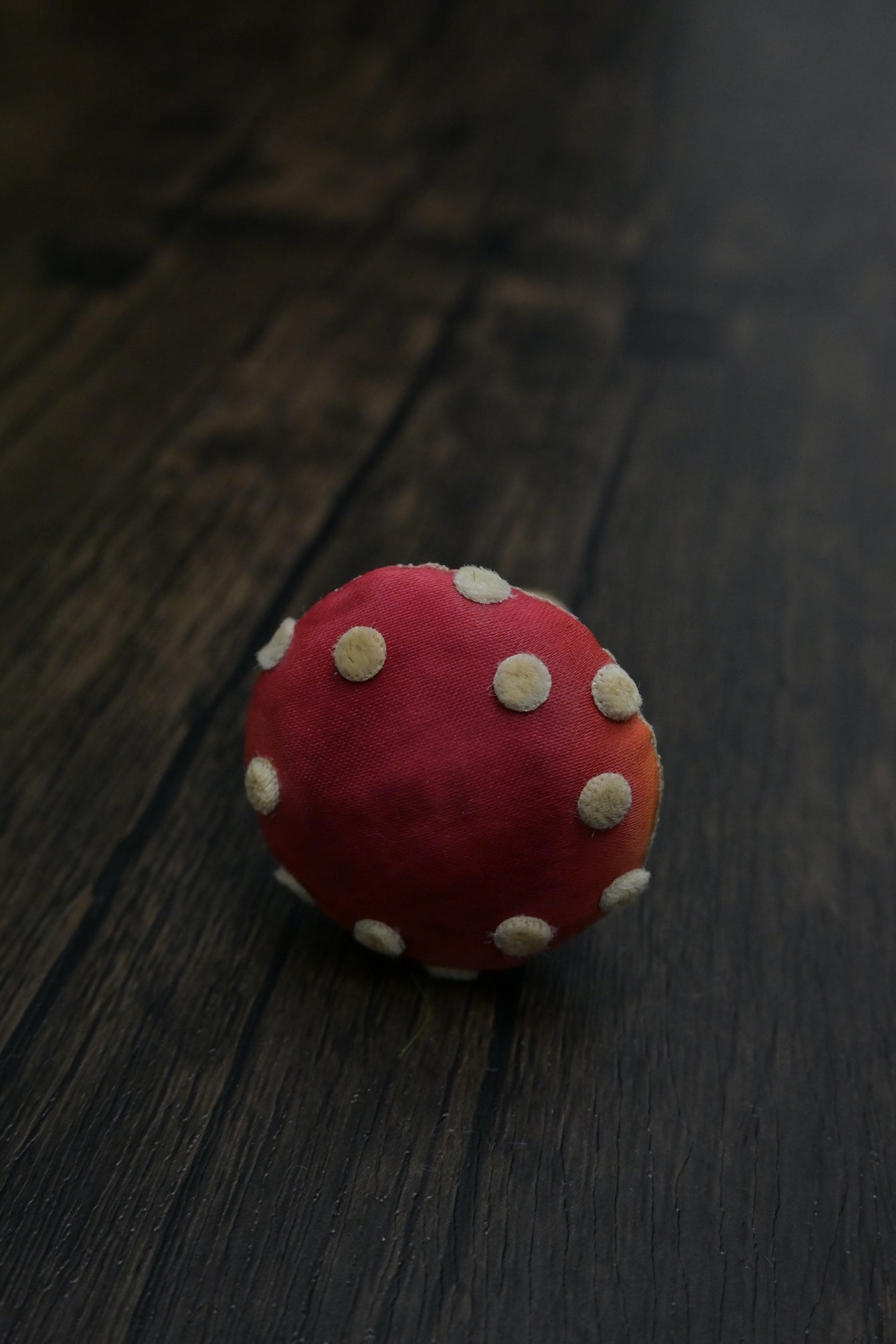 毒蠅傘｜紅色小毒菇｜心口針