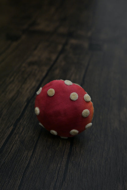 毒蠅傘｜紅色小毒菇｜心口針