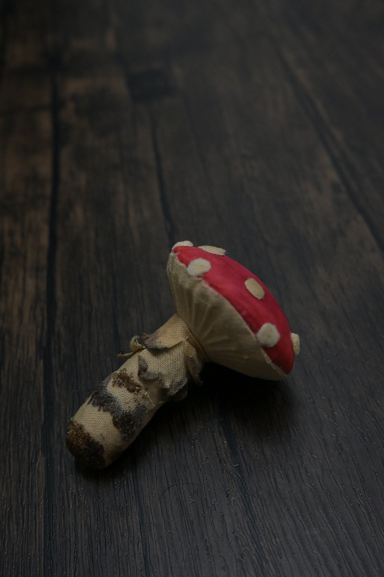 毒蠅傘｜紅色小毒菇｜心口針