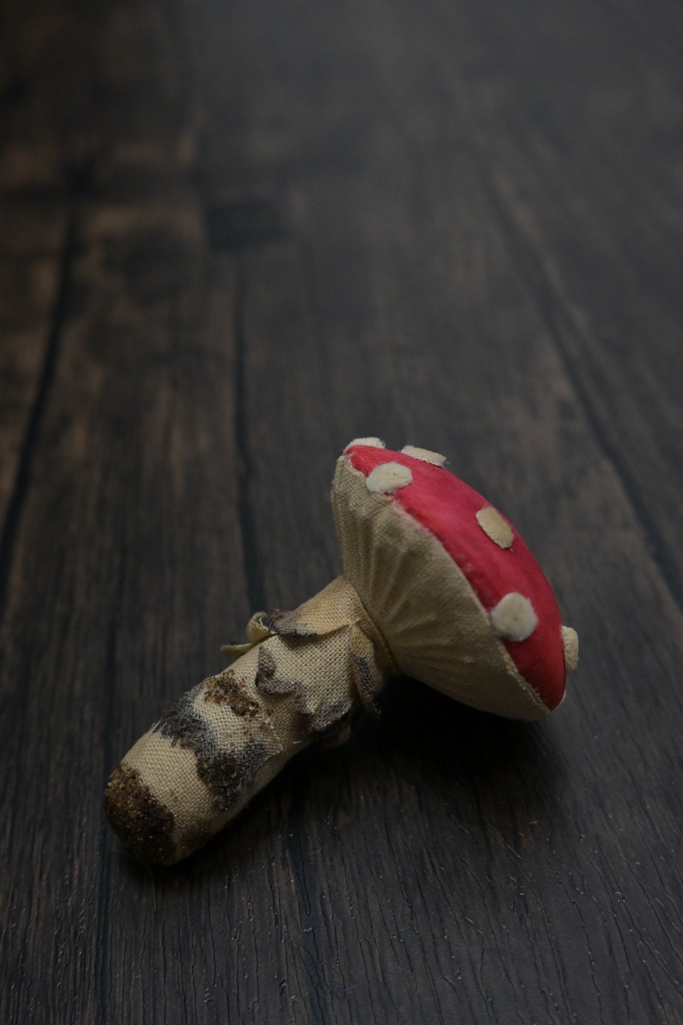 毒蠅傘｜紅色小毒菇｜心口針