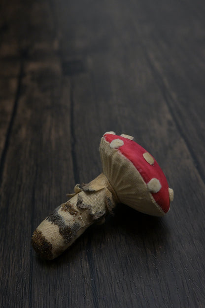 毒蠅傘｜紅色小毒菇｜心口針