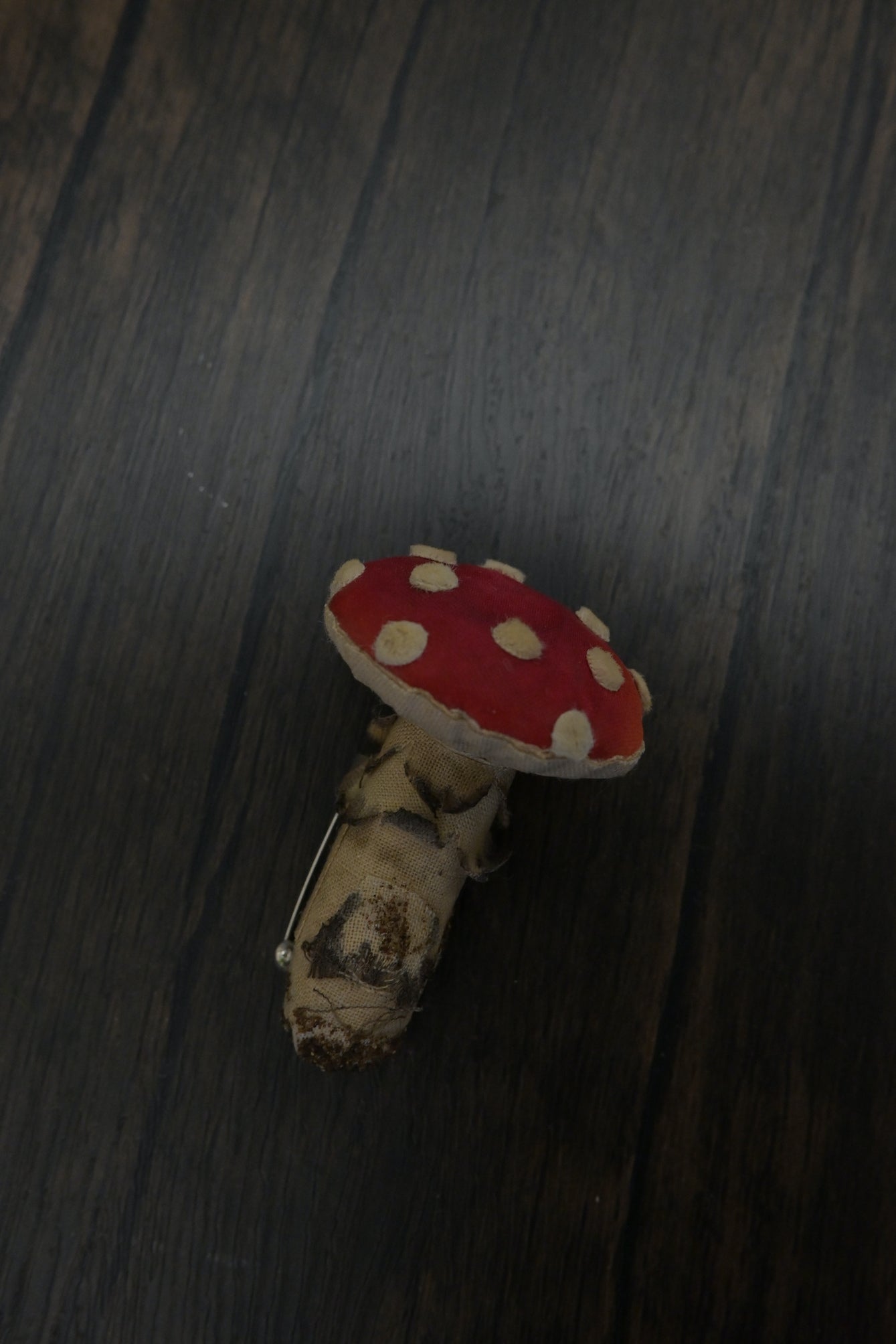 毒蠅傘｜紅色小毒菇｜心口針