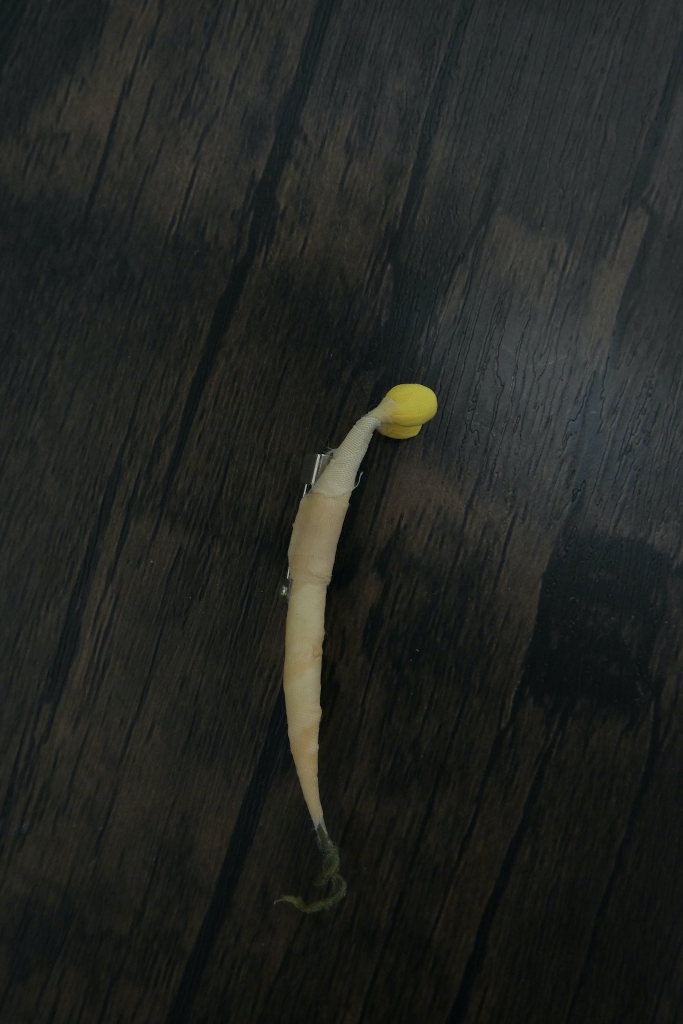 芽芽芽菜｜心口針