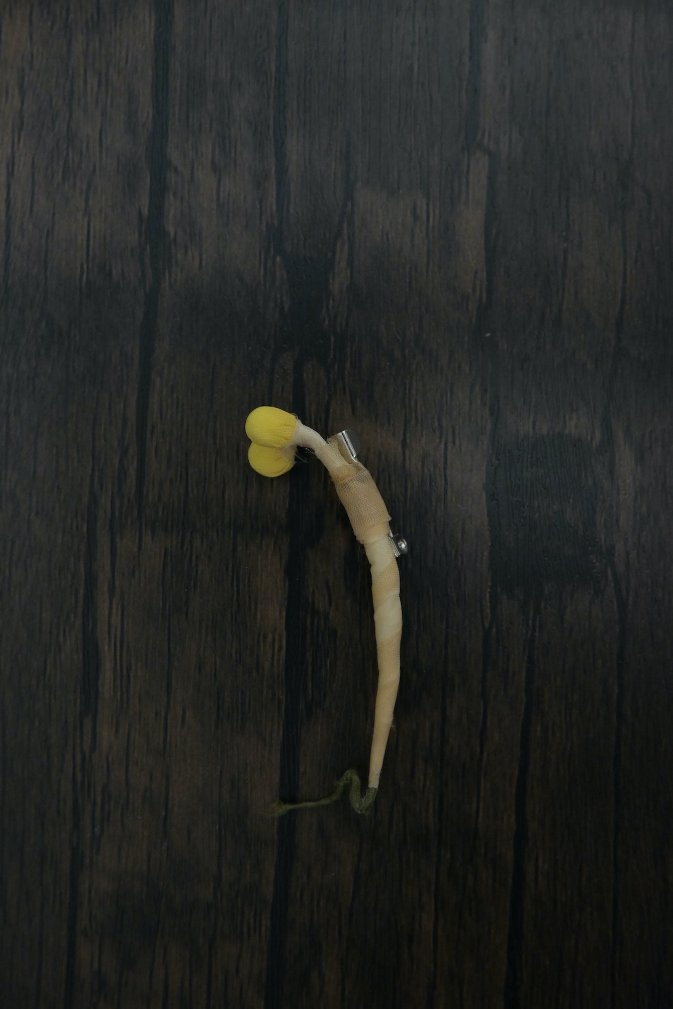 芽芽芽菜｜心口針