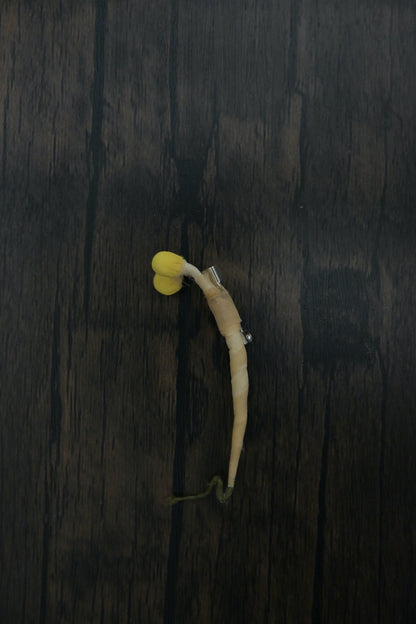 芽芽芽菜｜心口針