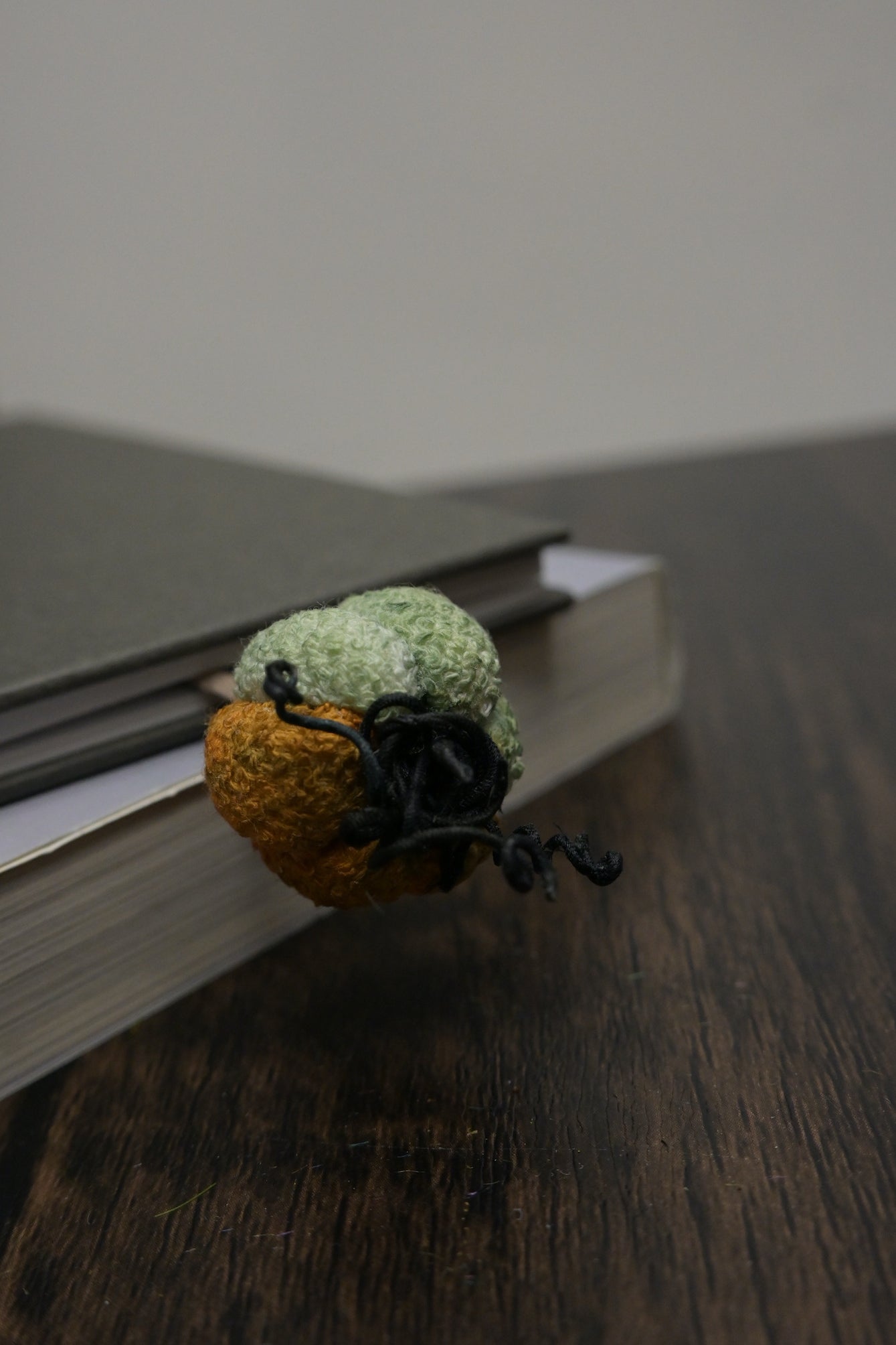 小南瓜書籤｜荒廢書本會長瓜