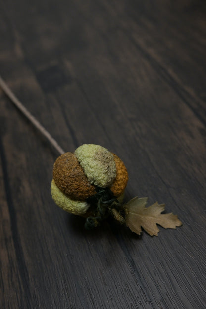 小南瓜書籤｜荒廢書本會長瓜