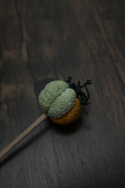 小南瓜書籤｜荒廢書本會長瓜