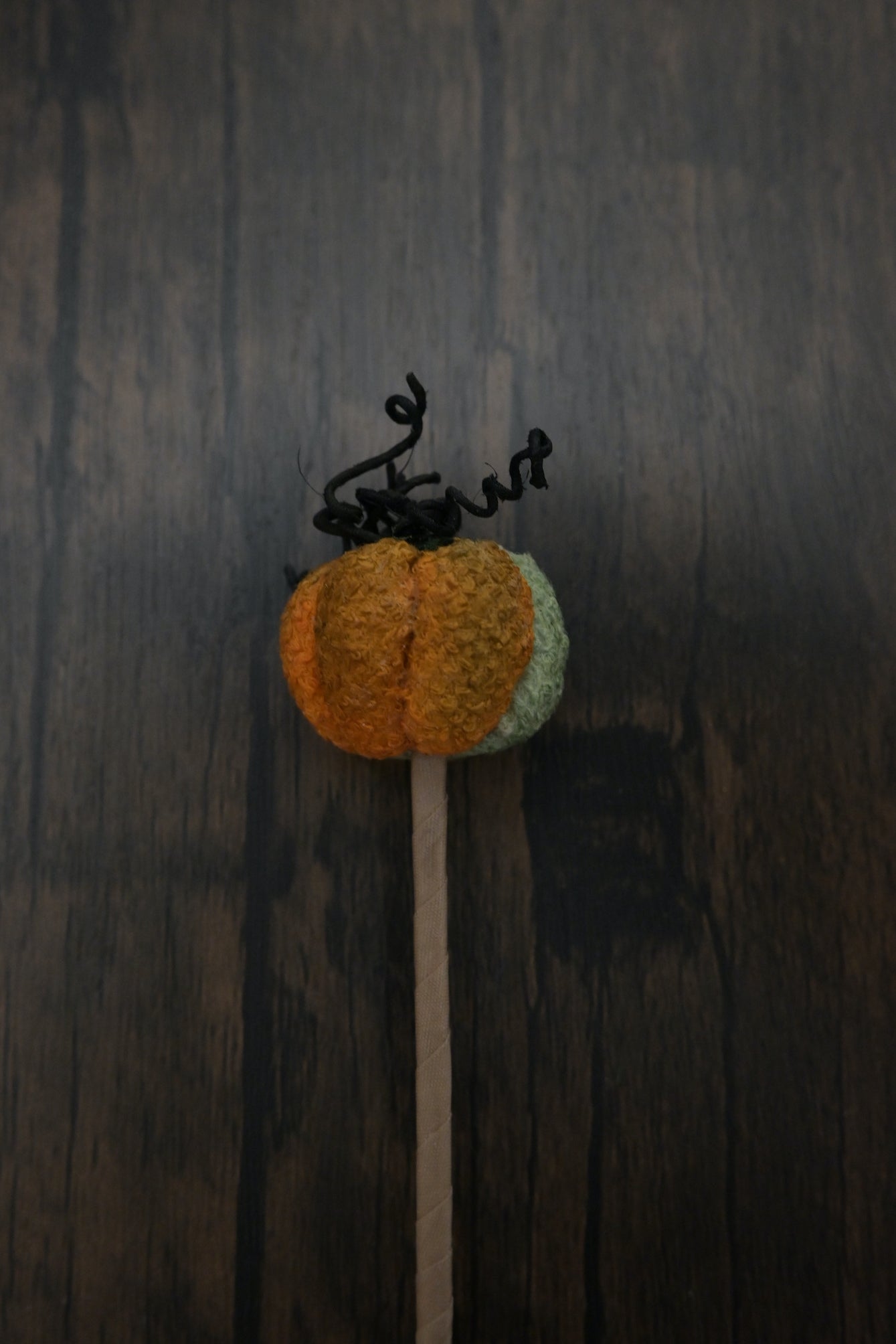 小南瓜書籤｜荒廢書本會長瓜