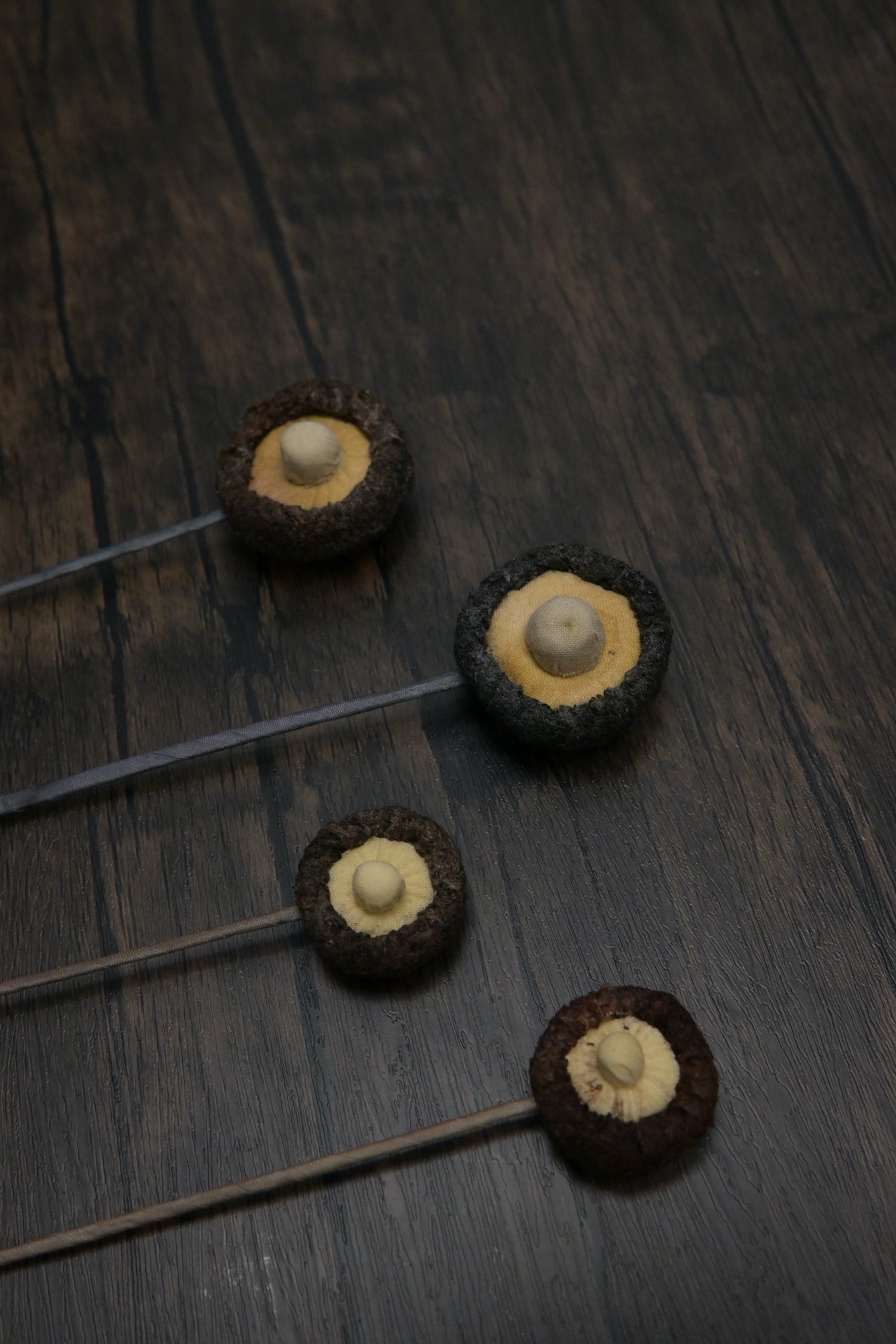 冬菇書籤｜荒廢書本會長菇