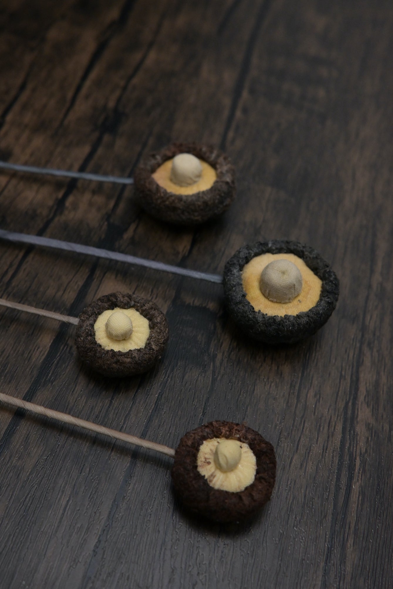 冬菇書籤｜荒廢書本會長菇